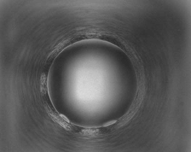 X0000085830480200703161329
