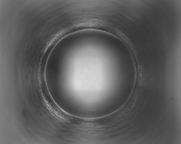 X0000085830482200703161328