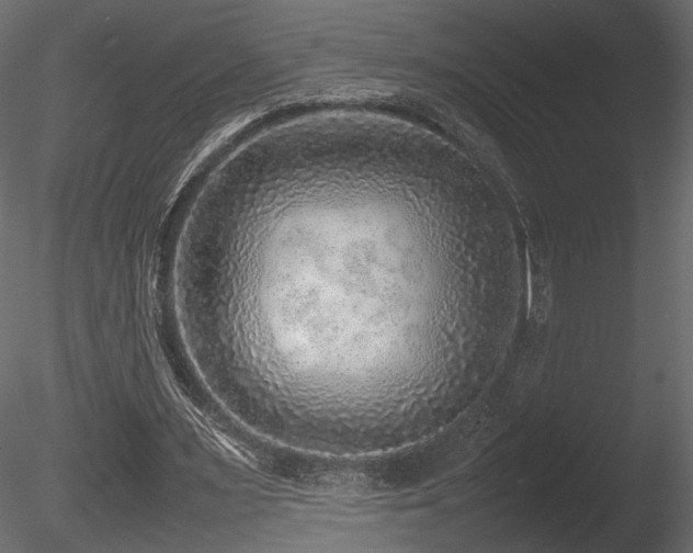X0000085830483200703161328