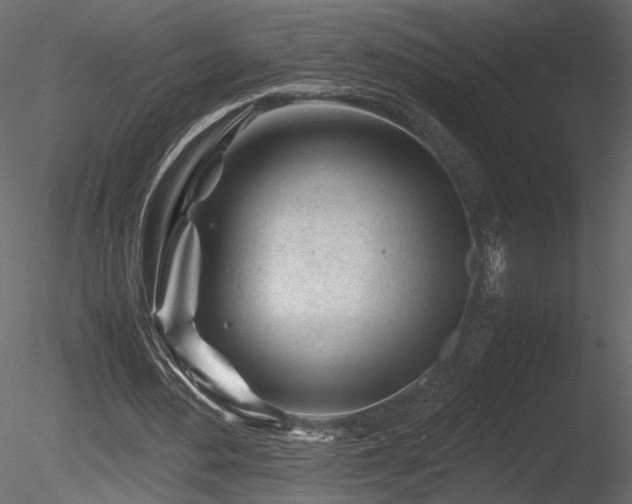 X0000085830484200703161328