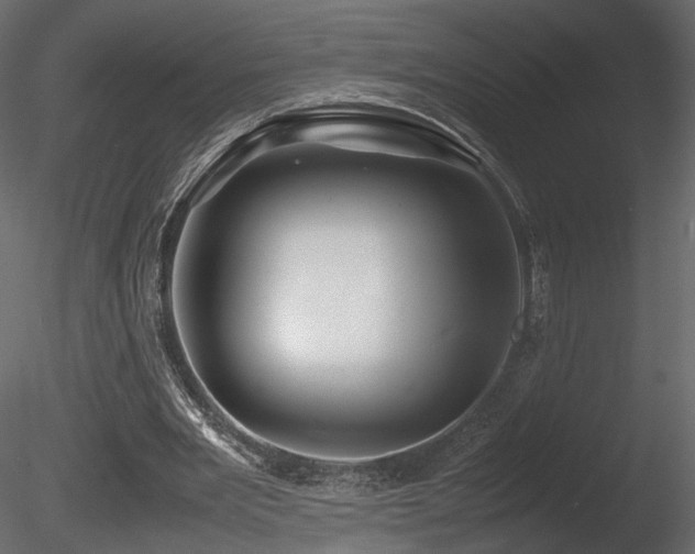 X0000085830485200703161328