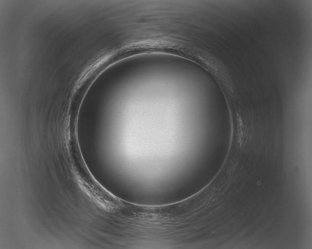 X0000085830486200703161328