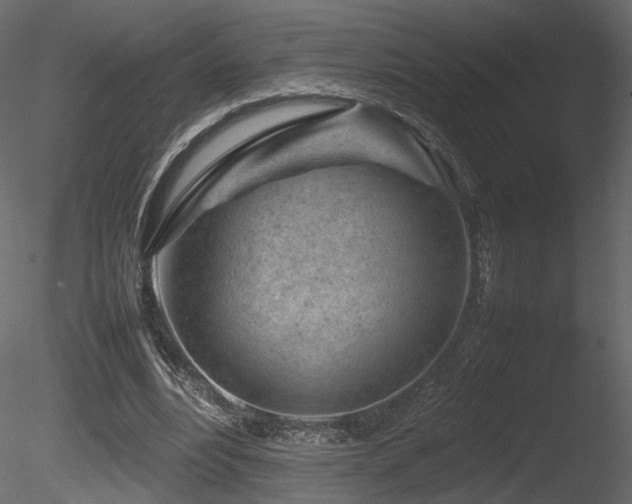 X0000085830488200703161328