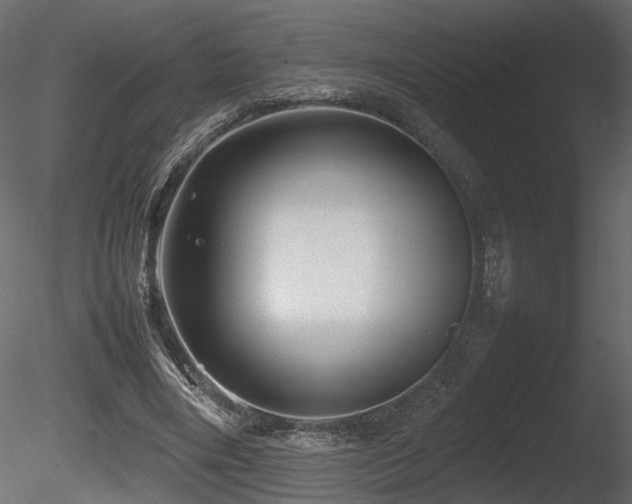X0000085830490200703161328