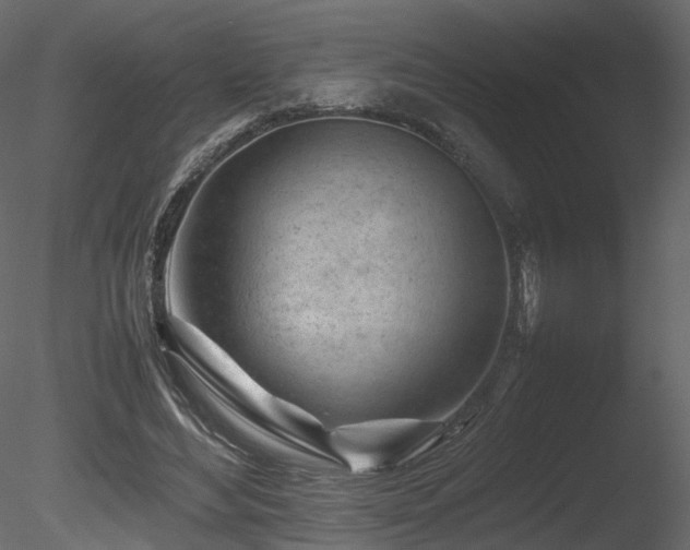 X0000085830492200703161328
