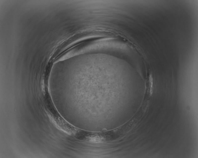 X0000085830500200703161327