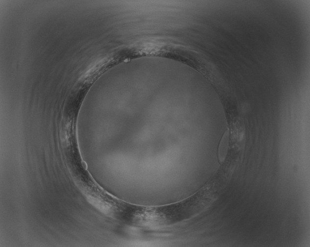 X0000085830503200703161327