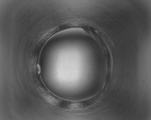 X0000085830505200703161327