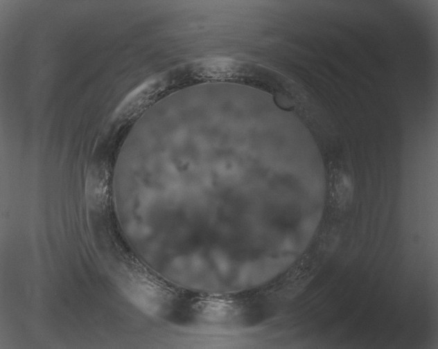 X0000085830507200703161327