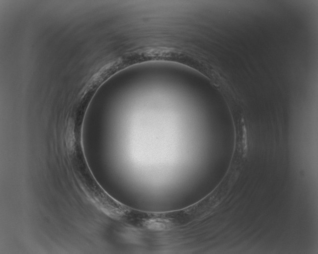 X0000085830508200703161327