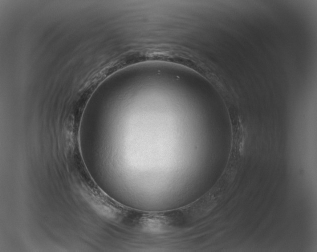 X0000085830510200703161327