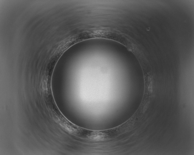 X0000085830514200703161327
