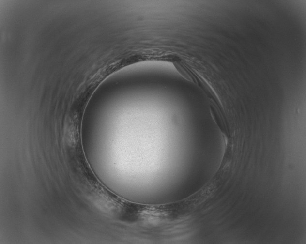 X0000085830515200703161327
