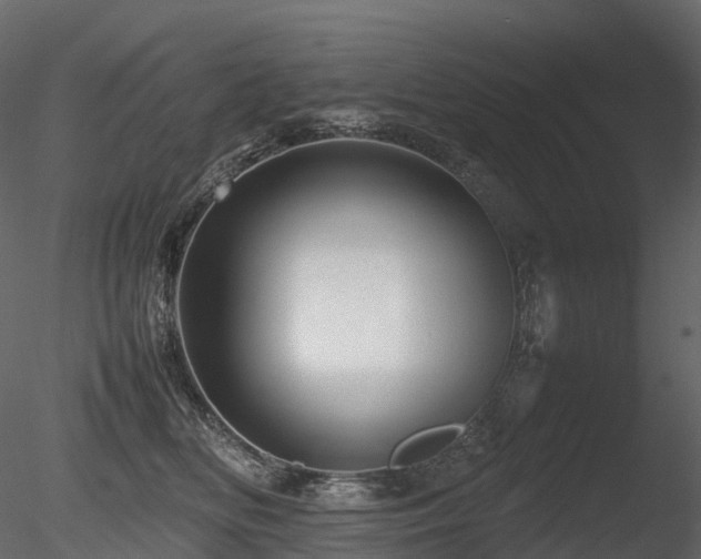 X0000085830518200703161327