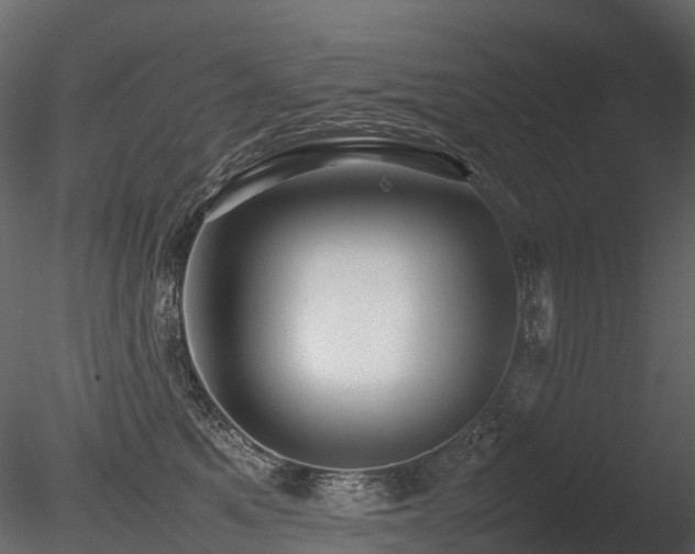 X0000085830521200703161327