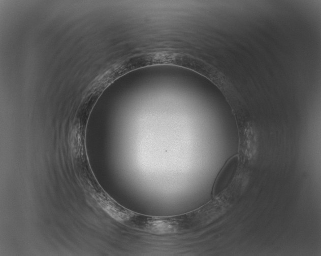 X0000085830522200703161327