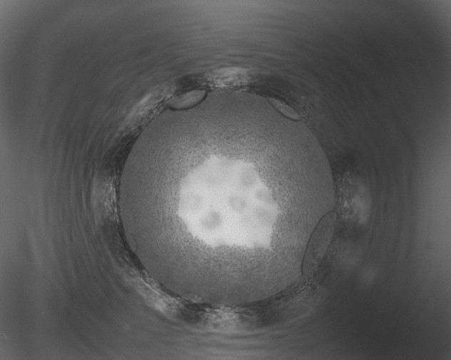 X0000085830523200703161327