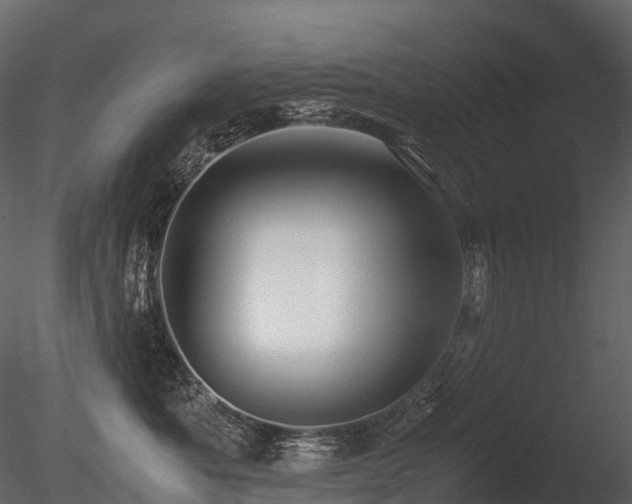 X0000085830525200703161327