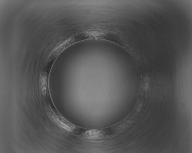 X0000085830526200703161327