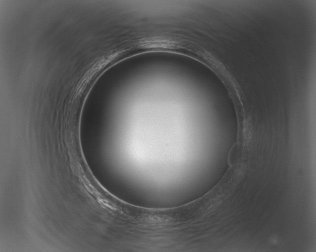 X0000085830529200703161326
