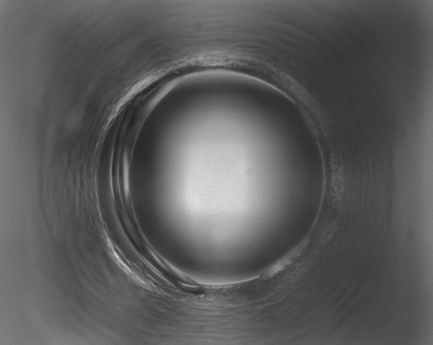 X0000085830530200703161326