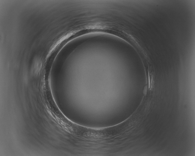 X0000085830531200703161326