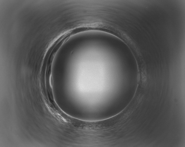 X0000085830532200703161326