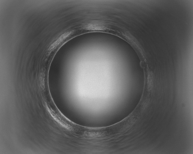X0000085830533200703161326