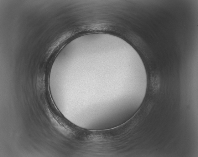 X0000085830534200703161326