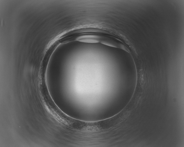 X0000085830536200703161326