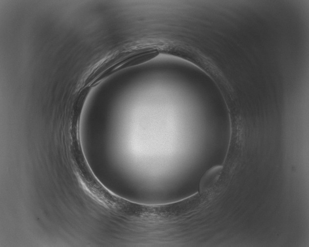 X0000085830538200703161326