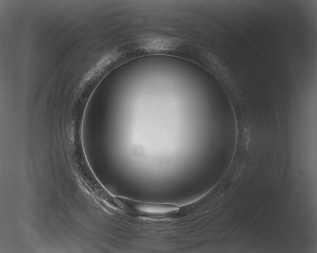 X0000085830539200703161326