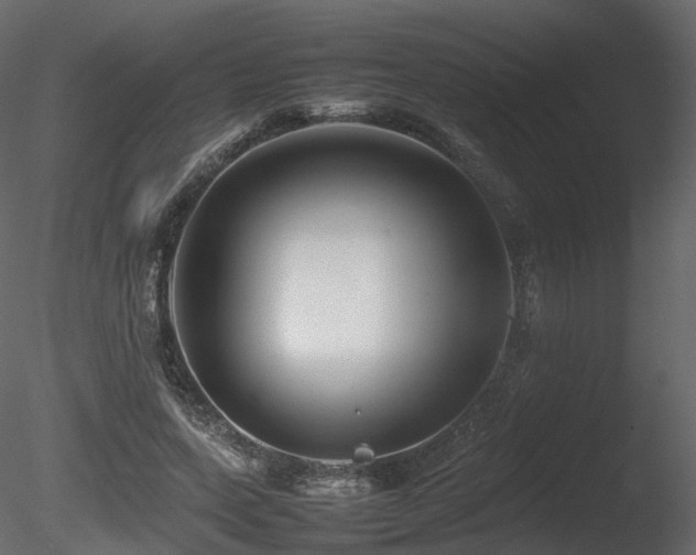 X0000085830543200703161326