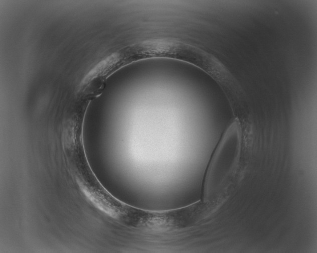 X0000085830546200703161326