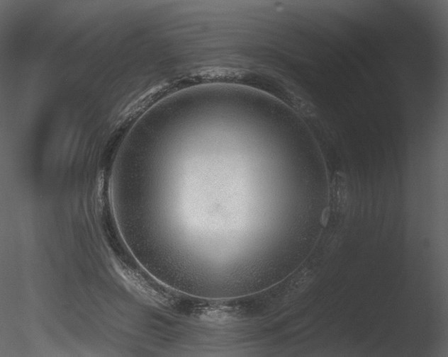X0000085830550200703161327
