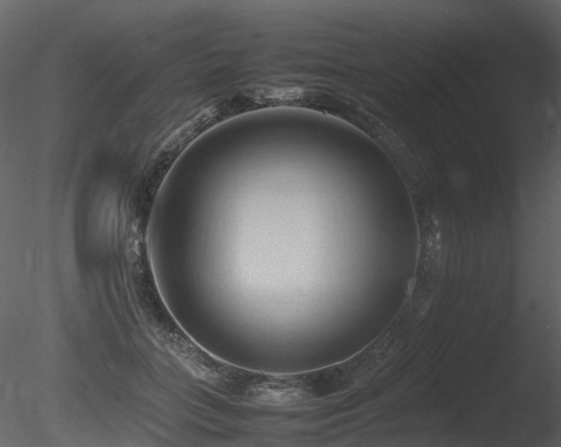 X0000085830555200703161327