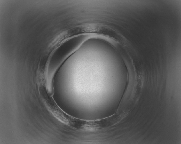 X0000085830556200703161327