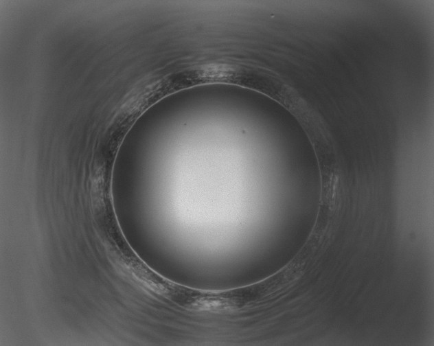 X0000085830557200703161327