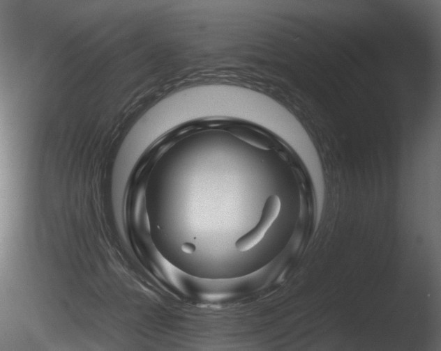 X0000085830558200703161327
