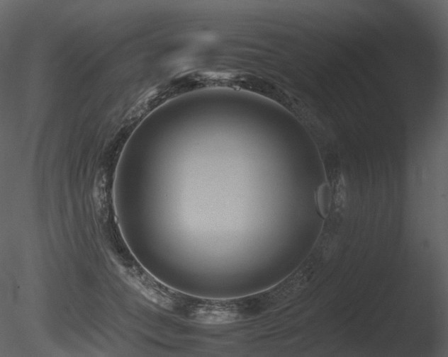 X0000085830559200703161327