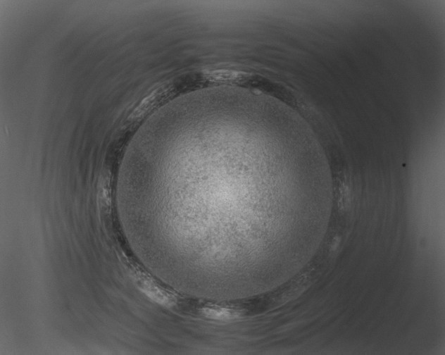 X0000085830561200703161327