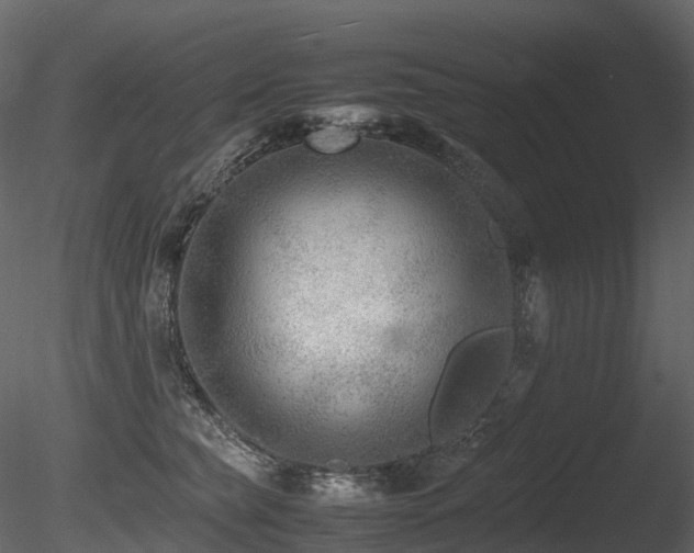 X0000085830565200703161327