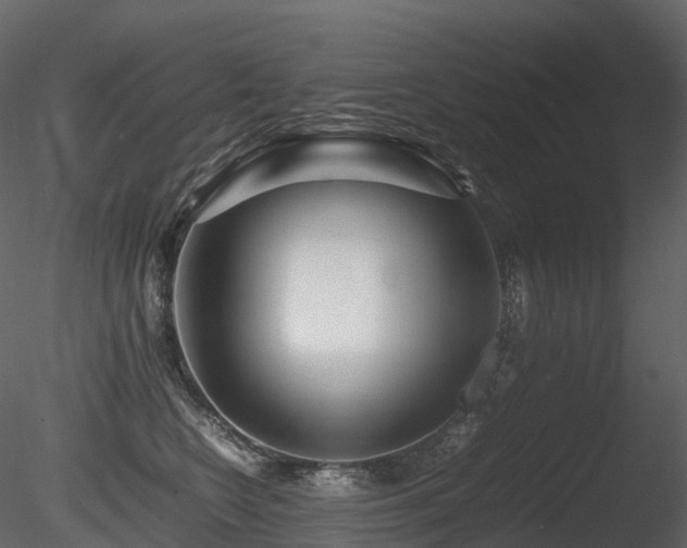 X0000085830566200703161327