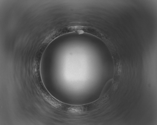 X0000085830567200703161327