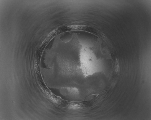 X0000085830569200703161327