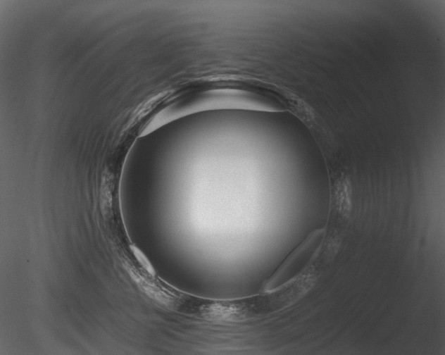 X0000085830570200703161327