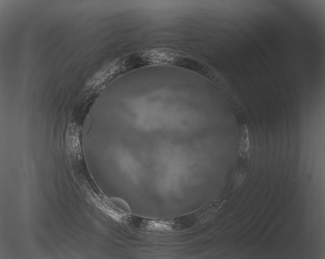 X0000085830573200703161327