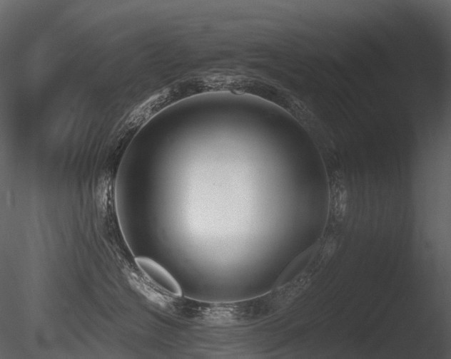 X0000085830574200703161327