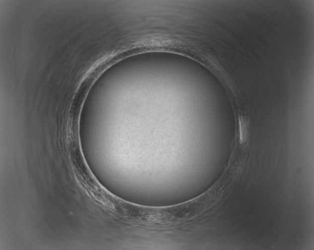 X0000085830579200703161326