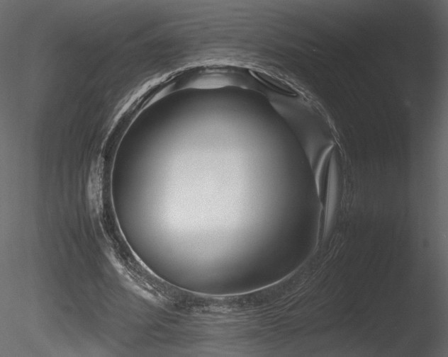 X0000085830580200703161326